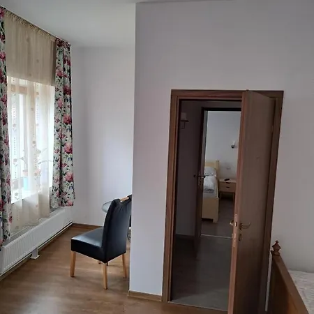 Theresia Studio Apartment Sibiu