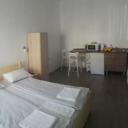 Theresia Studio Apartment Sibiu